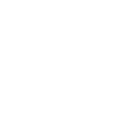 TLR-LogoWhiteOut